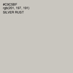 #C9C5BF - Silver Rust Color Image